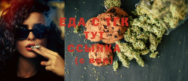 мдпв Галич