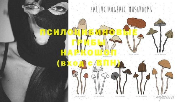 каннабис Новодвинск