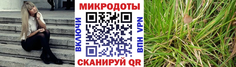ссылка на мегу маркетплейс  наркотики  Осинники  Псилоцибиновые грибы прущие грибы 